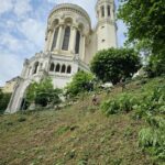 débroussaillage par les cordistes près de la basilique de Fourvière