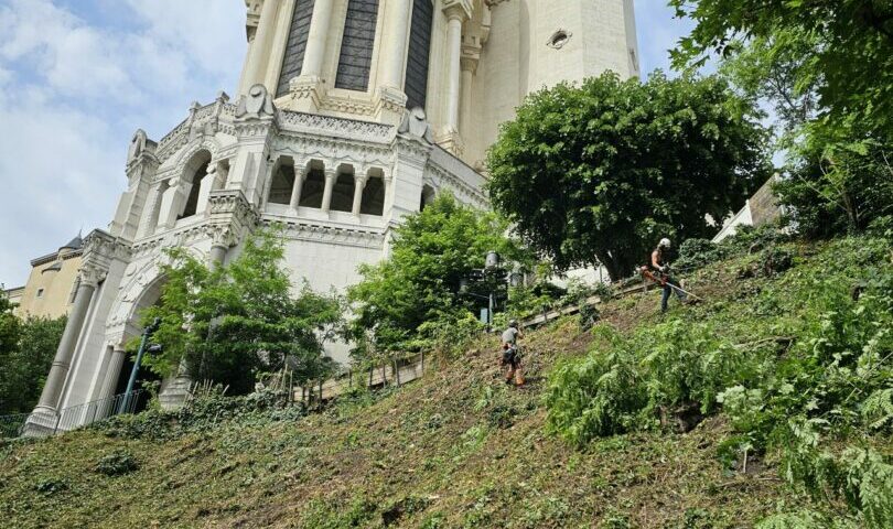 débroussaillage par les cordistes près de la basilique de Fourvière
